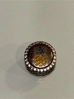 Pandora Charleston, SC charm